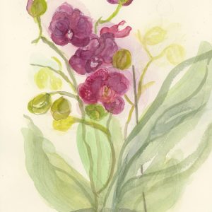 #42 - Imogen's Orchid - Rosemary Millar