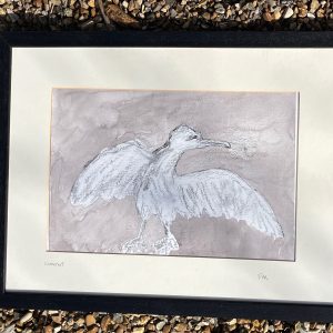 #39 – Cormorant I – Pauline McBride